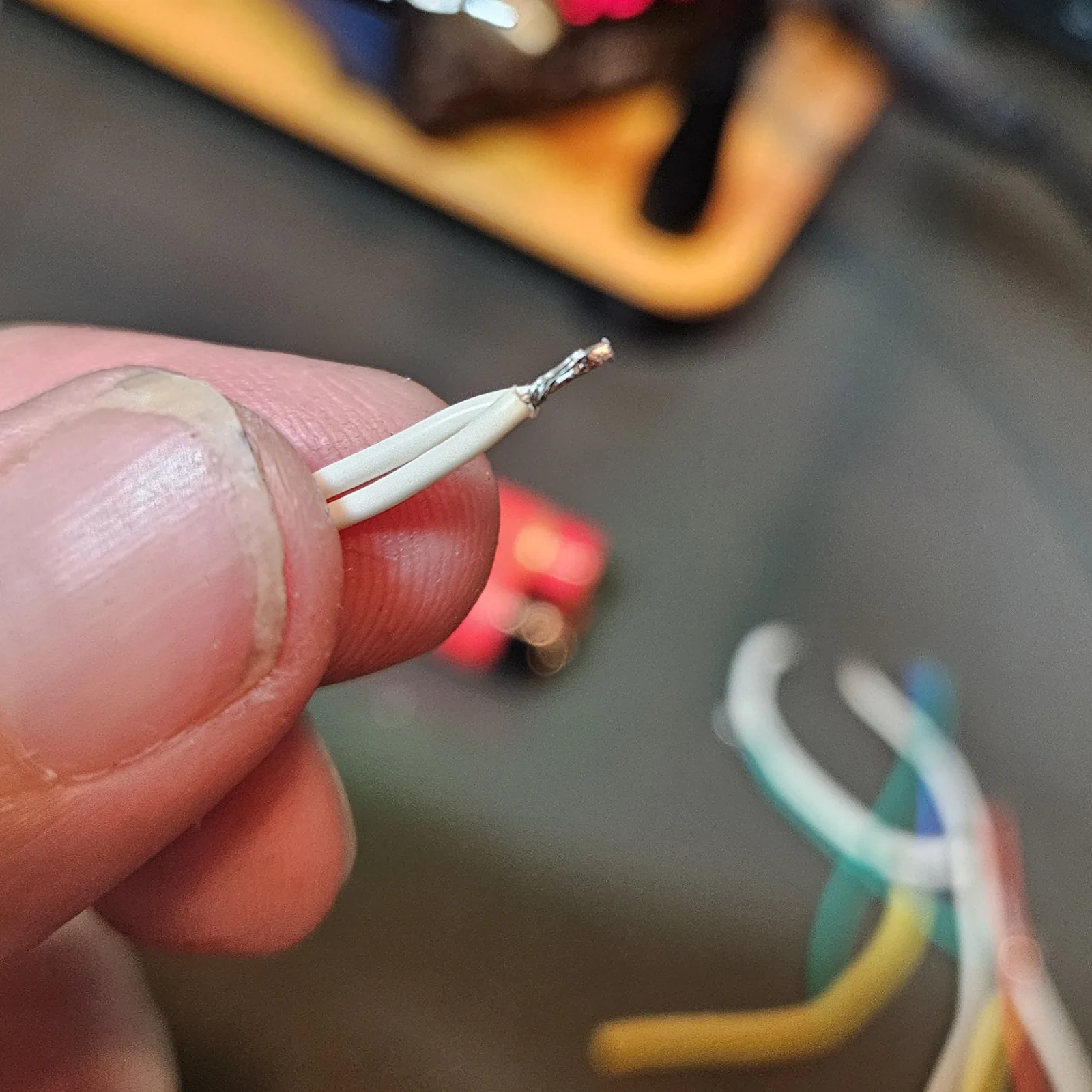 Close-up of one white jumper wire, its stripped end tinned bright and shiny with solder.
